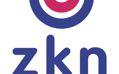 ZKN audit